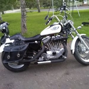 Meet your Posher, Harvey